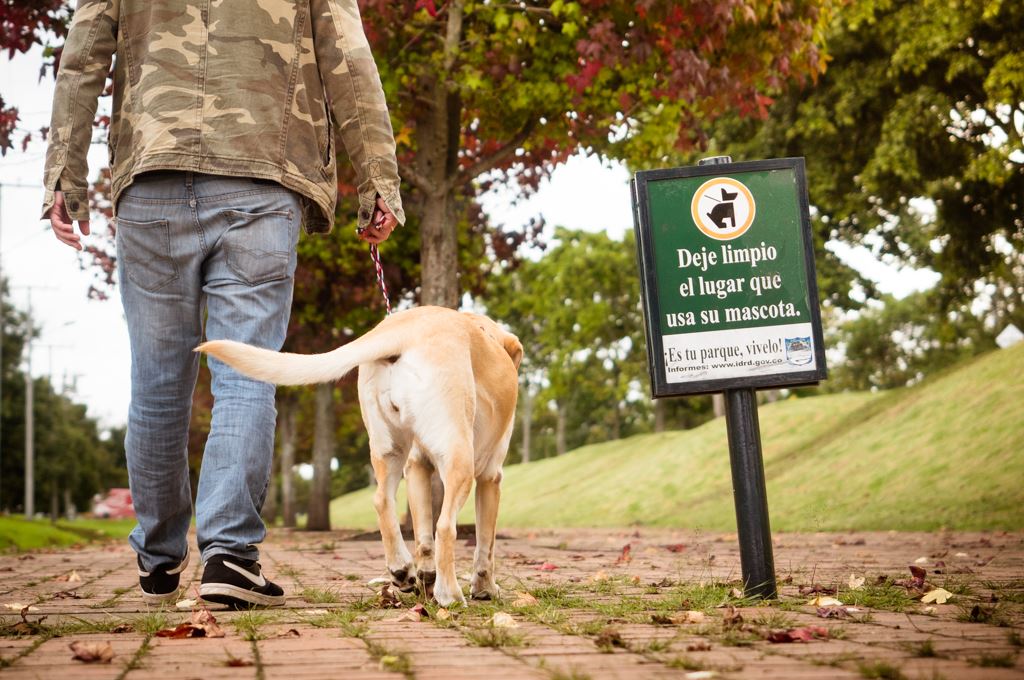 Cómo incentivar a los responsables de perros a recoger los excrementos de sus mascotas? - Bogotá Abierta